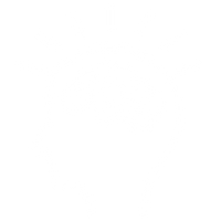 Brain Synchronization