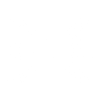 Advanced Vibration Technology